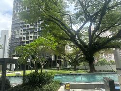 Irwell Hill Residences (D9), Apartment #464103481